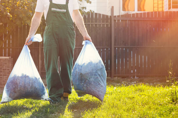 Debris Removal in East Glenville, NY